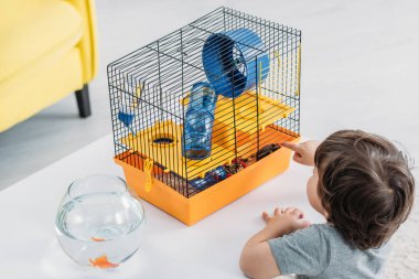 mavi plastik tekerlek ve tünel ile hayvan kafesi parmak ile işaret sevimli çocuk