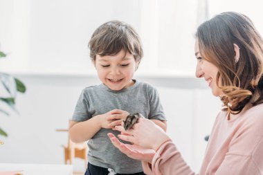 neşeli kadın gülümseyen çok güzel oğul yakın sevimli Hamster tutan