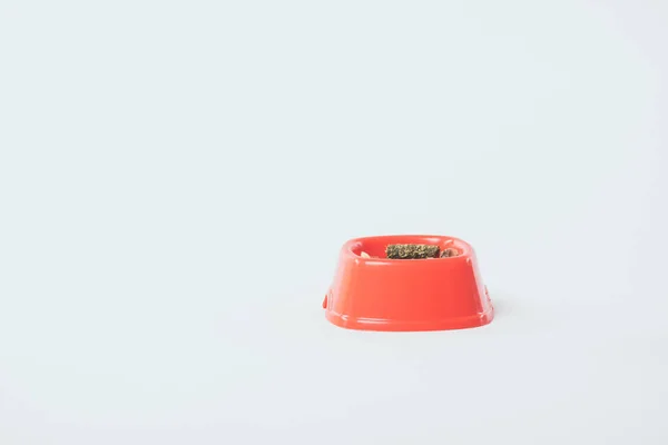 Plastic Orange Bowl Dry Pet Food Grey Background Copy Space — Stock Photo, Image