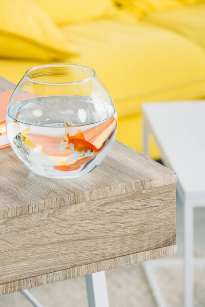 selective focus of aquarium with gold fish on wooden table 