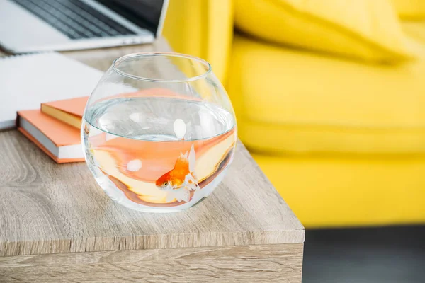 selective focus of aquarium with gold fish near books on wooden table