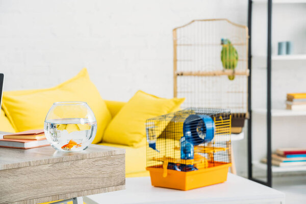 pet cage and aquarium with gold fish in light spacious living room