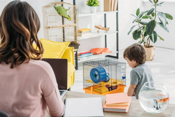 Visão Traseira Mãe Usando Laptop Filho Bonito Perto Gaiola Animal — Fotografia de Stock