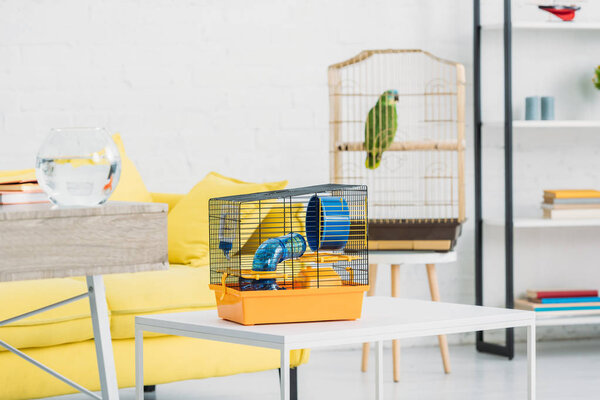 living room with orange pet cage on white table, and green parrot in bird cage