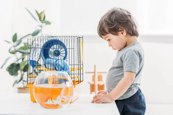 Adorable Niño Pie Cerca Mesa Con Acuario Jaula Para Mascotas — Foto de Stock