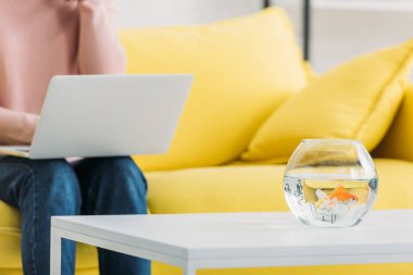 partial view of woman using laptop while sitting on sofa near table with fish bowl clipart