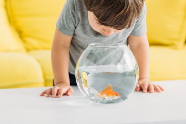 Altın balık ile akvaryum içine bakarak sevimli meraklı çocuk 