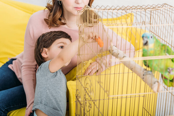 partial view of woman with cute boy near bird cage with green parrot