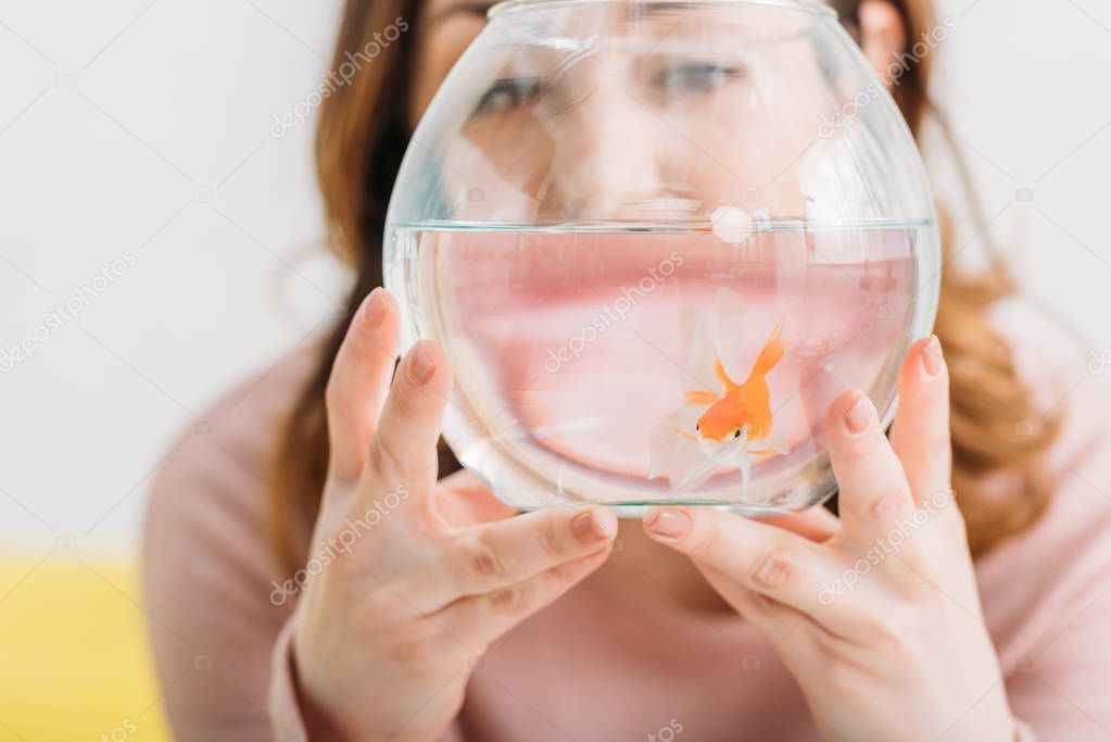 selective focus of woman holding aquarium with bright gold fish