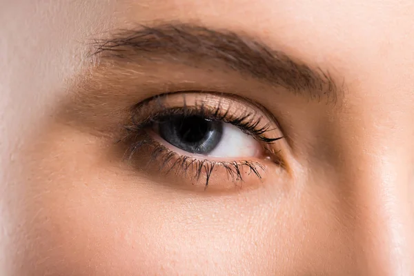 Vista Cortada Olho Azul Fêmea Olhando Para Câmera — Fotografia de Stock