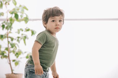 Yeşil t-shirt sevimli küçük çocuk uzağa bakıyor