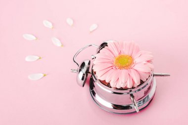 gerbera çiçek ve yaprakları izole pembe ile vintage çalar saat