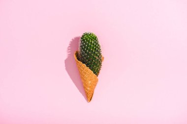 top view of cactus in ice cream cone on pink with copy space clipart