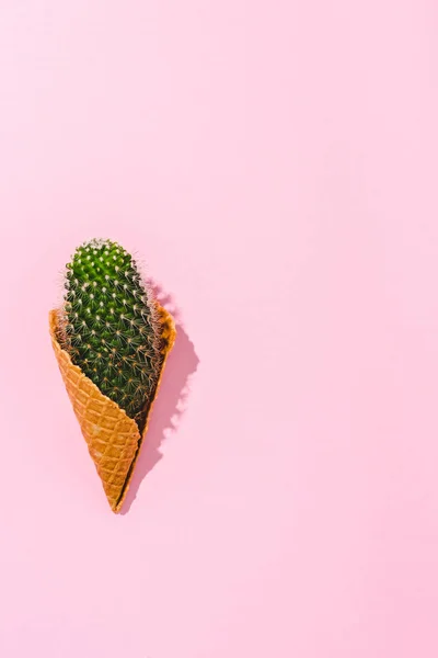 Top View Cactus Plant Ice Cream Cone Pink Copy Space — Stock Photo, Image