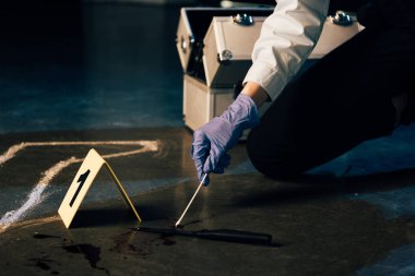 partial view of investigaror in gloves searching for dna evidence at crime scene clipart