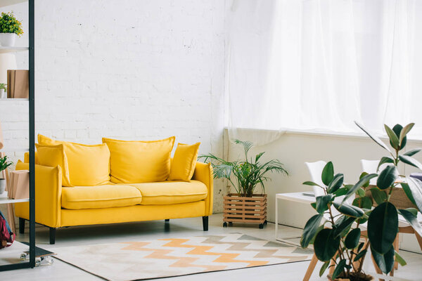 spacious living room with yellow sofa, carpet on floor and plants in flowerpots