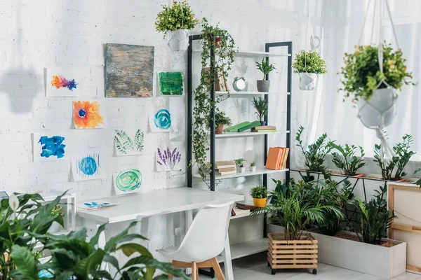 Geräumiges Zimmer Mit Regal Tisch Stuhl Grünen Topfpflanzen Und Gemälden — Stockfoto