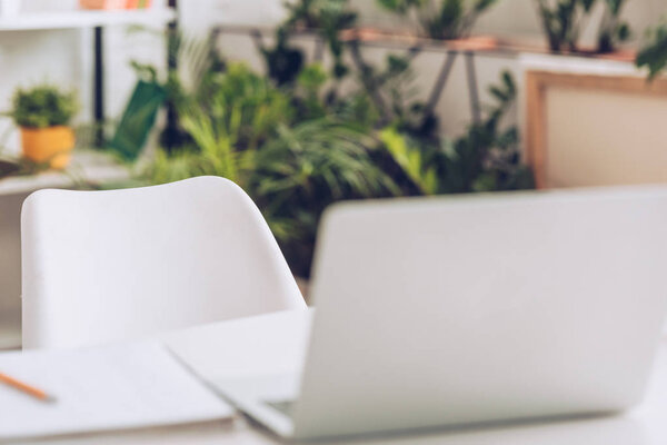 селективный фокус ноутбука на белом столе в комнате с пышными зелеными растениями
 