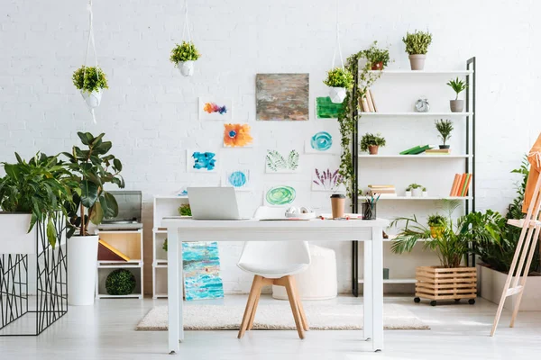 masa, sandalye, raf, yeşil saksı bitkileri ve beyaz duvarda boyama ile geniş oda
