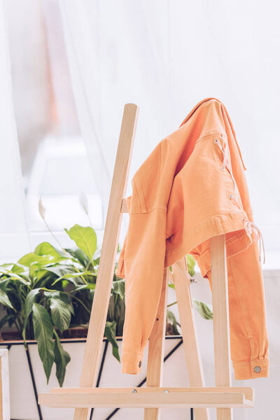 деревянный мольберт с оранжевой курткой рядом с зелеными растениями в светлой комнате
