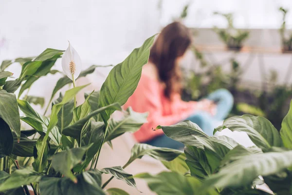 Selective Focus Young Girl Sitting Room Lush Green Plants — Stock Photo, Image