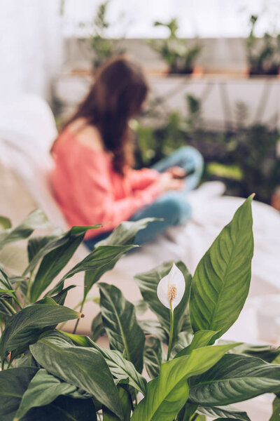 selective focus of young girl sitting with crossed legs and using smartphone near green plants at home