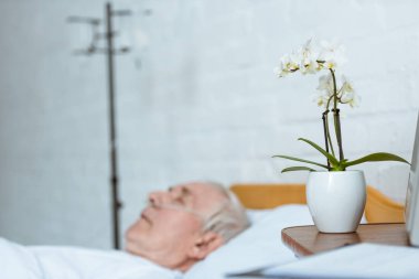 selective focus of senior man in coma on bed in hospital clipart