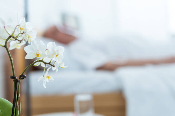 selective focus of sick patient in clinic and orchids on foreground