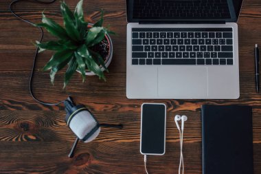 dizüstü bilgisayar üst görünümü, boş ekranlı akıllı telefon, mikrofon, dizüstü bilgisayar, ahşap masa üzerinde saksı tesisi ve kulaklıklar