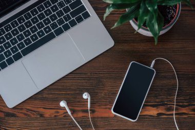 ahşap masa üzerinde boş ekran, kulaklık, dizüstü bilgisayar ve saksı bitki ile akıllı telefon üst görünümü