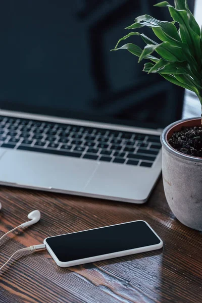 Portátil Smartphone Con Pantalla Blanco Cerca Macetas Planta Mesa Madera —  Fotos de Stock