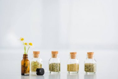 corked jars with dried herbs near bottle with daisies on white background with copy space clipart