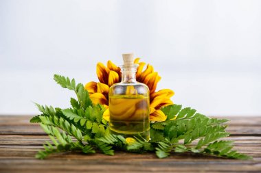 uçucu yağlar, eğrelti otu yaprakları ve ahşap yüzeyüzerinde ayçiçeği ile mantarlı şişe