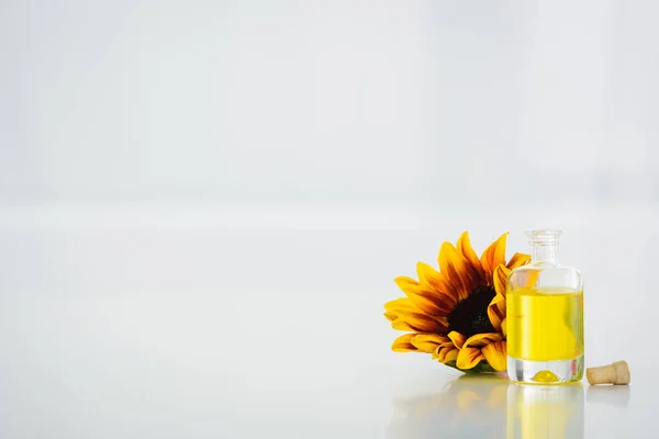 Tournesol Près Bouteille Verre Avec Huile Tournesol Sur Fond Blanc — Photo