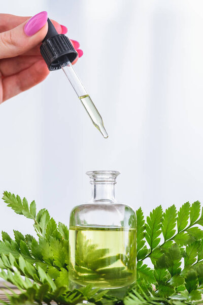 cropped view of woman holding dropper near bottle with essential oil on white background