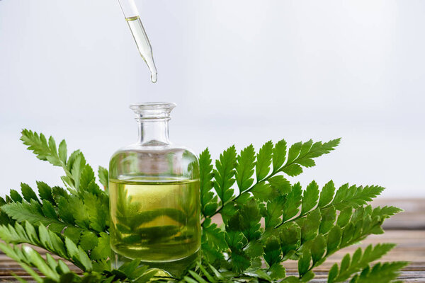 bottle with essential oil, dropper and green fern leaves on white background