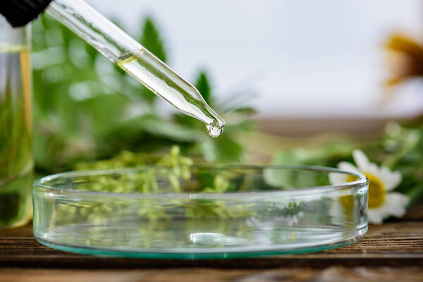 selective focus of dropper with essential oil near glass bowl on wooden surface