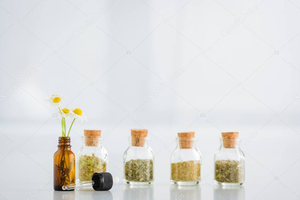 corked jars with dried herbs near bottle with daisies on white background with copy space