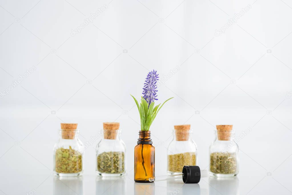 corked jars with dried herbs and bottle with hyacinth flower on white background 