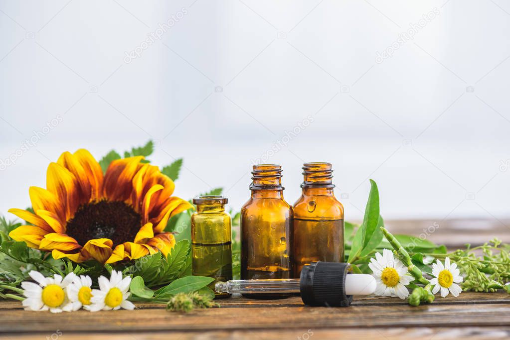 sunflower, chamomile flowers, bottles with essential oils and dropper on white background