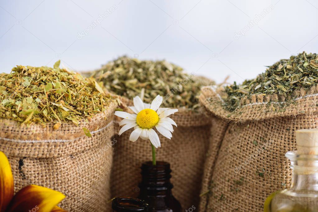 sackcloth bags with dried herbs and chamomile flower in bottle on white background