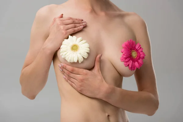 Gedeeltelijke Weergave Van Naakte Jonge Vrouw Met Bloemen Geïsoleerd Grijs — Stockfoto