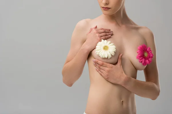 Gri Izole Çiçekleri Ile Çıplak Genç Kadın Kısmi Görünümü — Stok fotoğraf