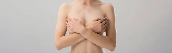 灰色で隔離された乳房を覆う裸の女性のパノラマショット — ストック写真