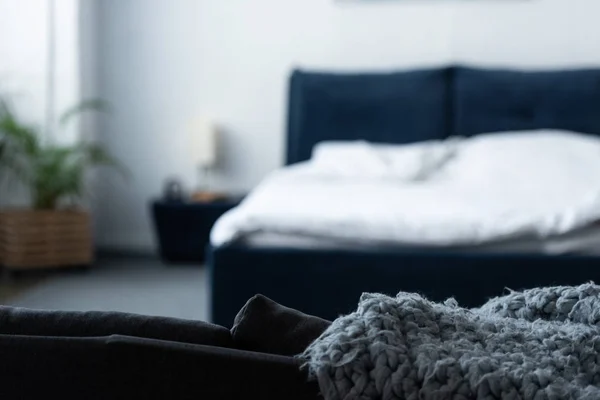 Вибірковий Фокус Спальні Ліжком Зеленою Рослиною — стокове фото