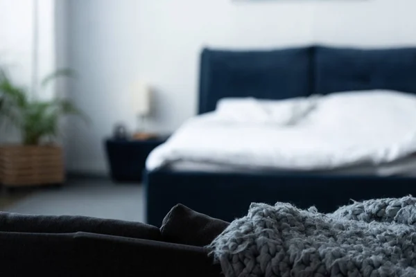 Enfoque Selectivo Dormitorio Con Cama Planta Verde —  Fotos de Stock