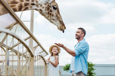 selective focus of cheerful man gesturing while looking at giraffe near kid in zoo  clipart