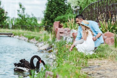 selective focus of cute kid in dress and straw hat sitting near happy father and lake with black swans  clipart