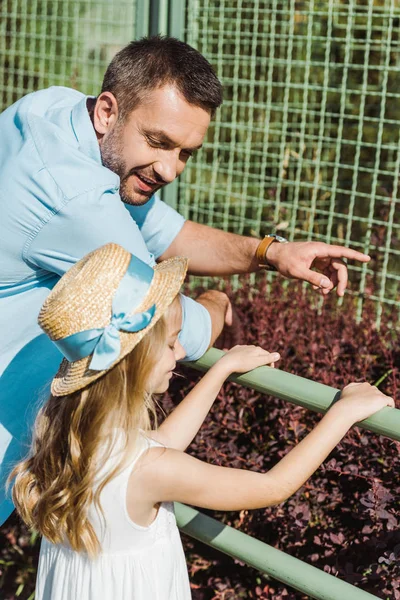 英俊的男人指着笼子 而站在可爱的女儿在动物园 — 图库照片