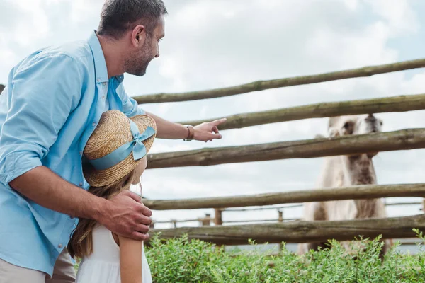 Stilig Far Som Pekar Med Fingret Kamel Nära Dotter Halm — Stockfoto